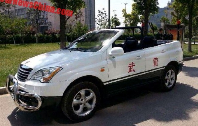 policeiskii_pozashlyahovik_roewe_w5.jpg