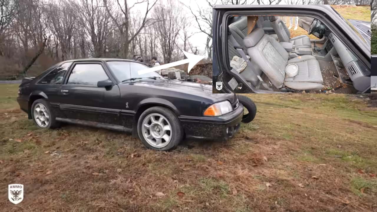 Дивіться, як Mustang SVT Cobra, заражений мишами, здійснює дивовижне відновлення