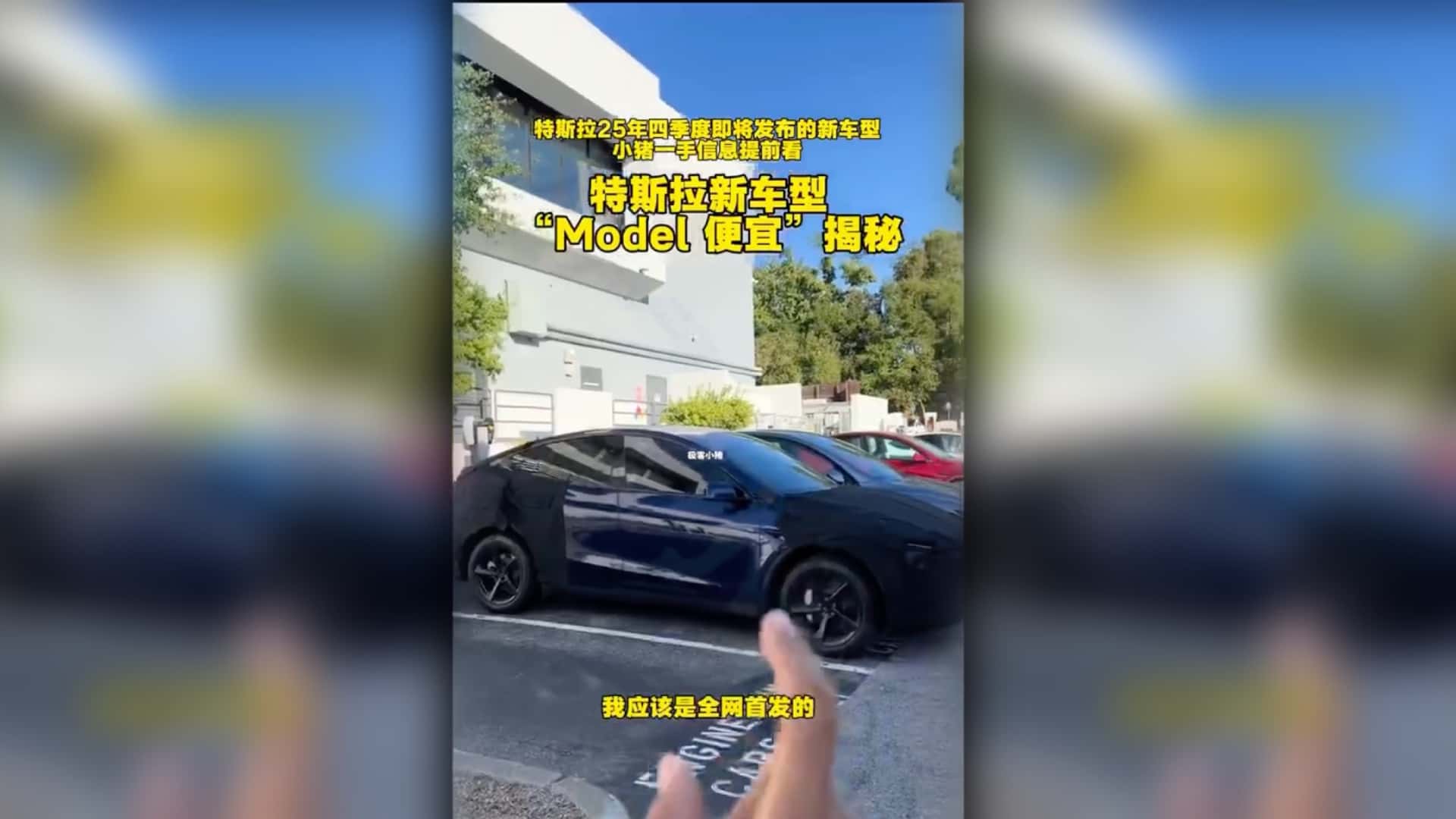 Tesla розробляє доступнішу версію Model Y