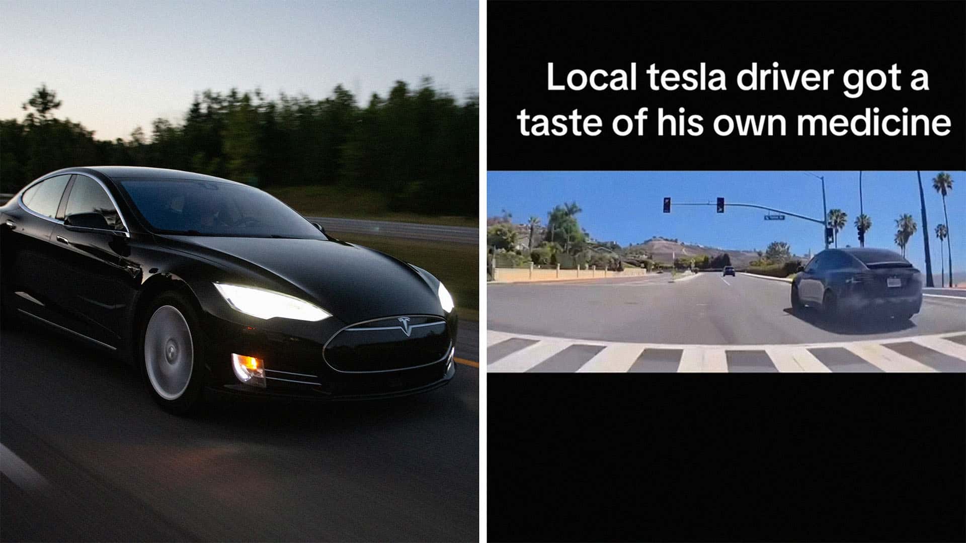 Як водій Tesla отримав урок від Kia Soul