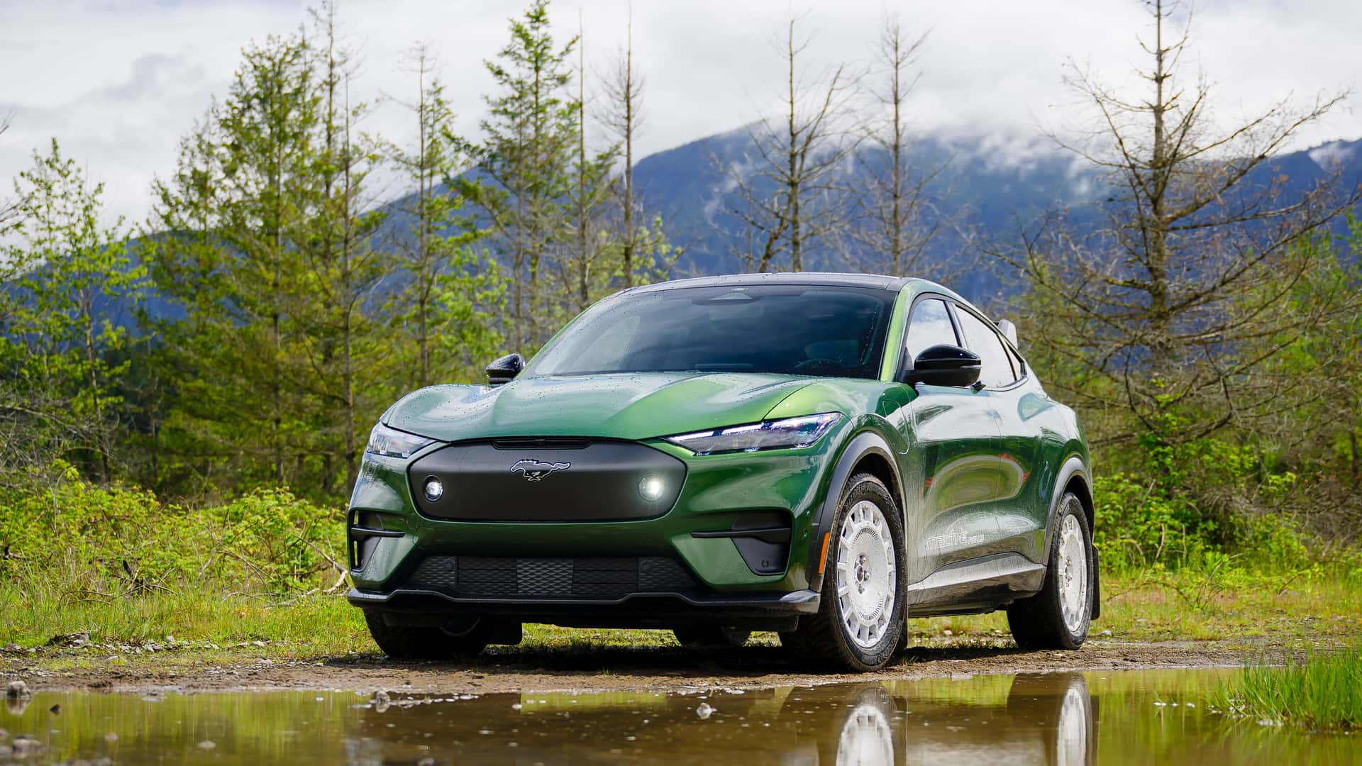 Ford Mustang Mach-E встановлює рекорд продажів