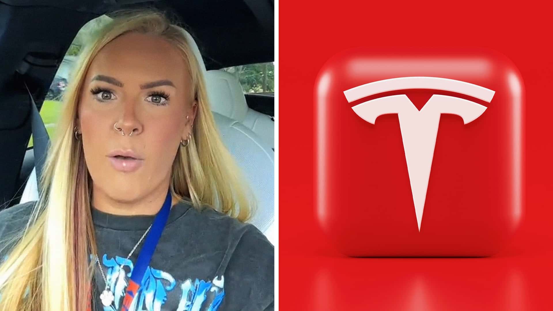 Tesla Drivers Share Unique Experiences Together