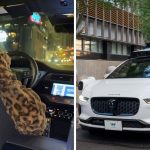 Consequences of Riding in a Waymo Car