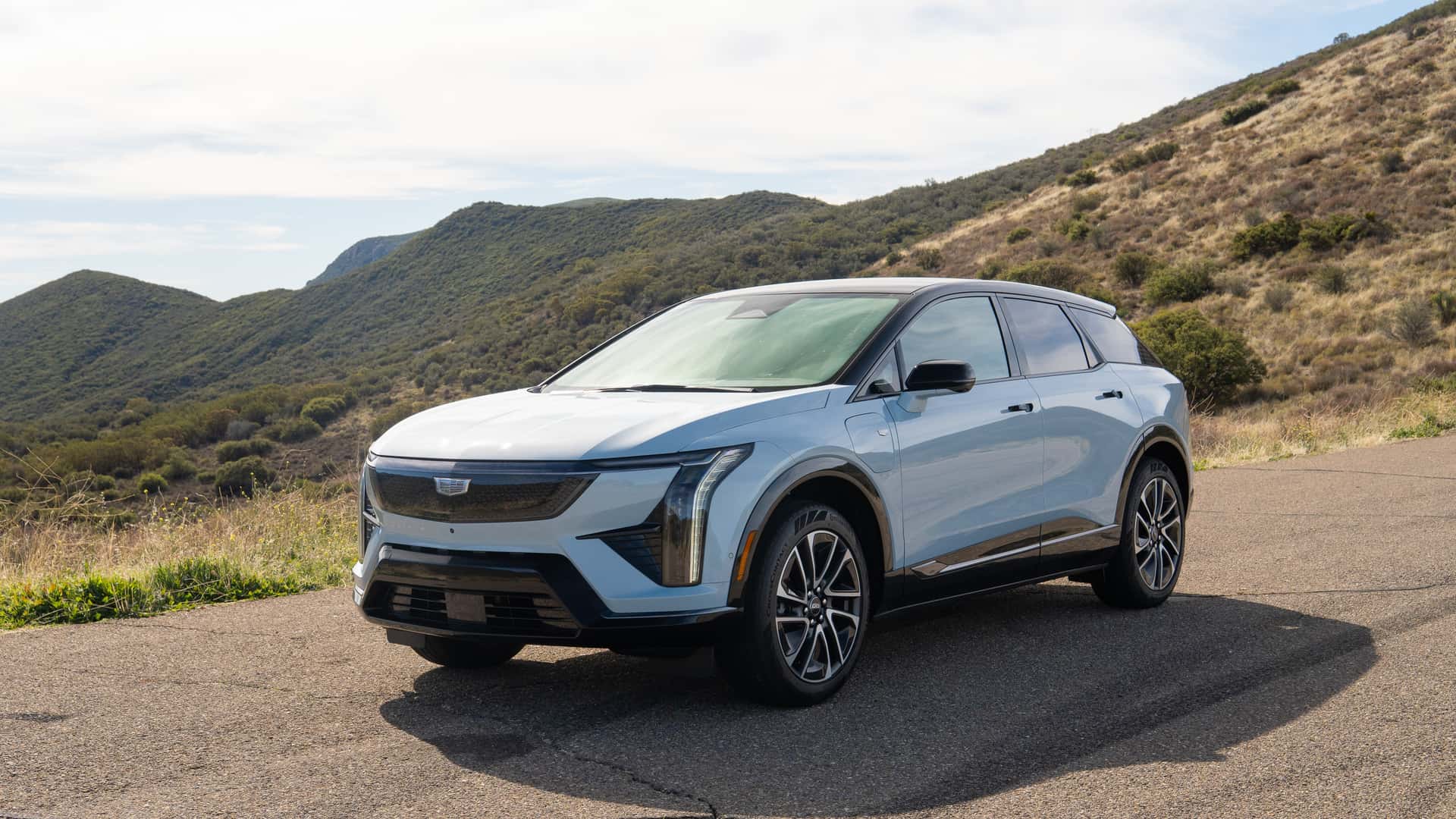 Незважаючи на спад продажів електромобілів, Tesla та BMW продовжують зростати