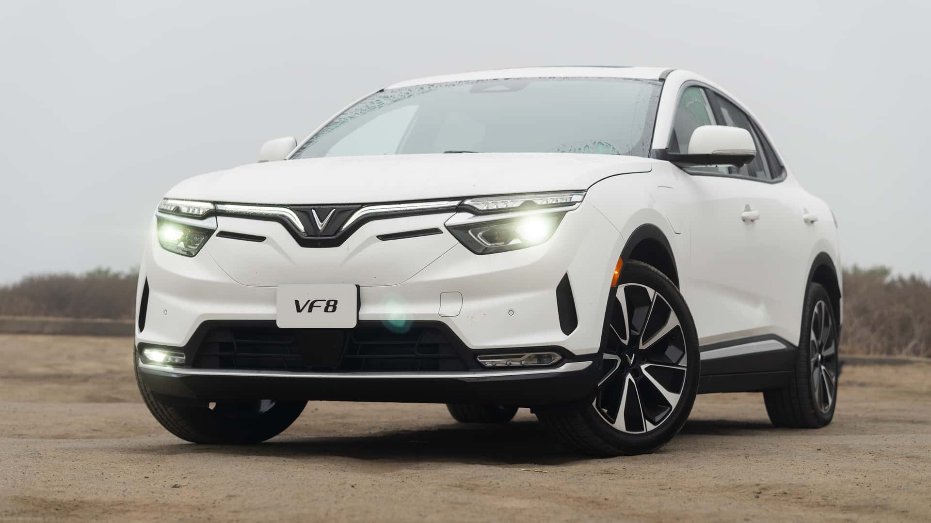 VinFast Advances US EV Plant Plans