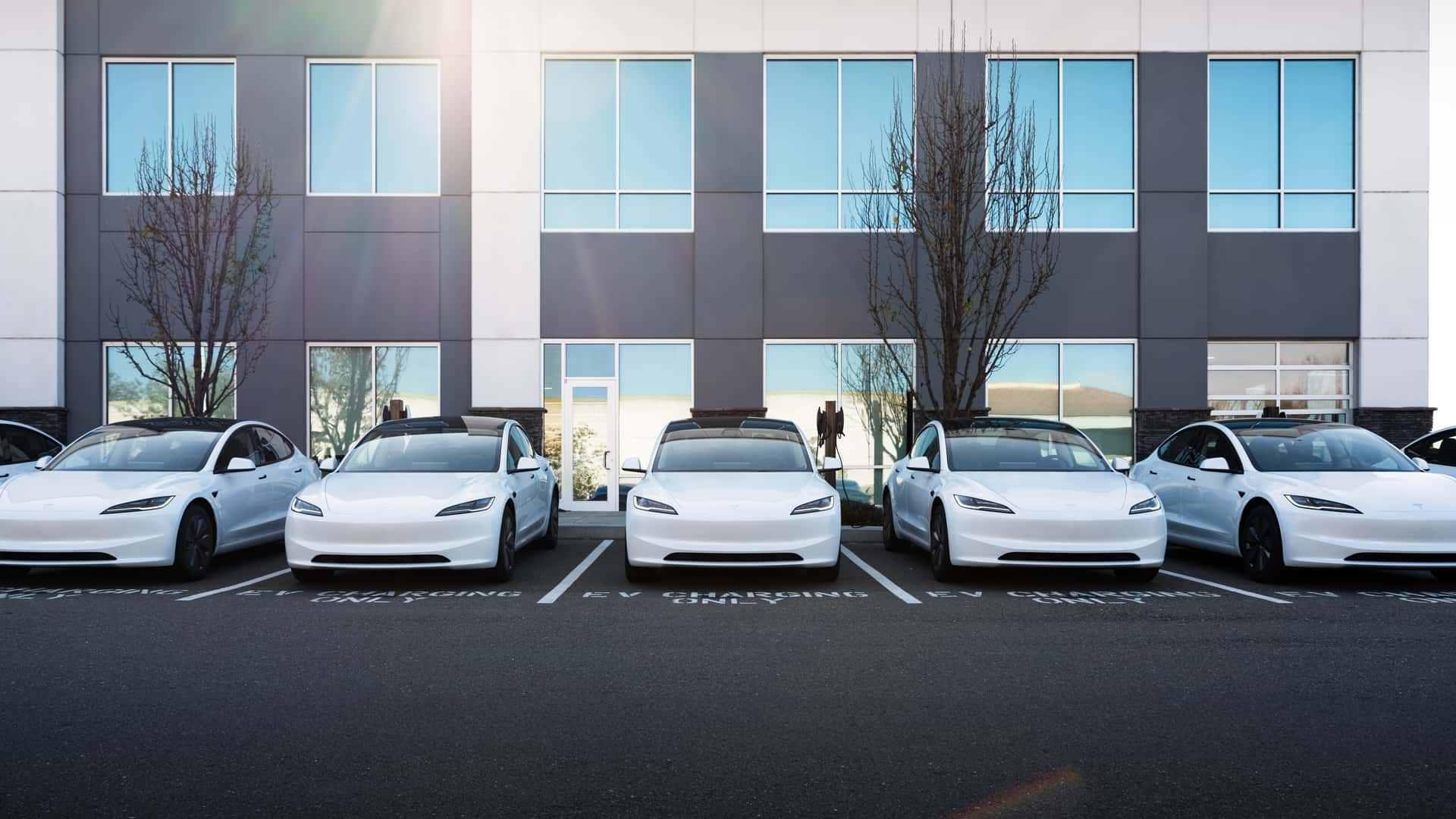 Tesla повертає собі світове лідерство серед електромобілів після падіння продажів BYD на 25%