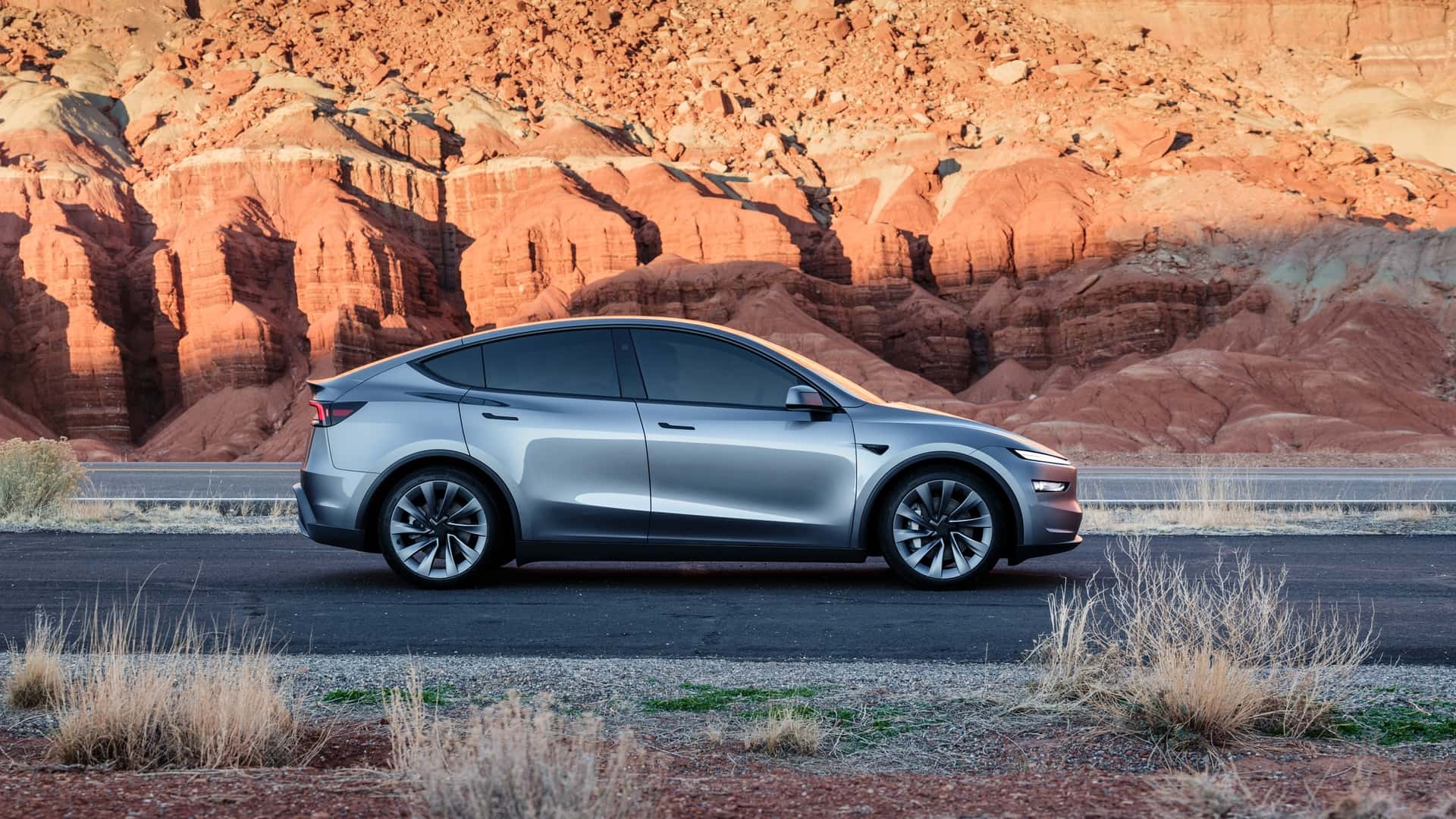 Tesla Sales Decline Yet Market Share Grows